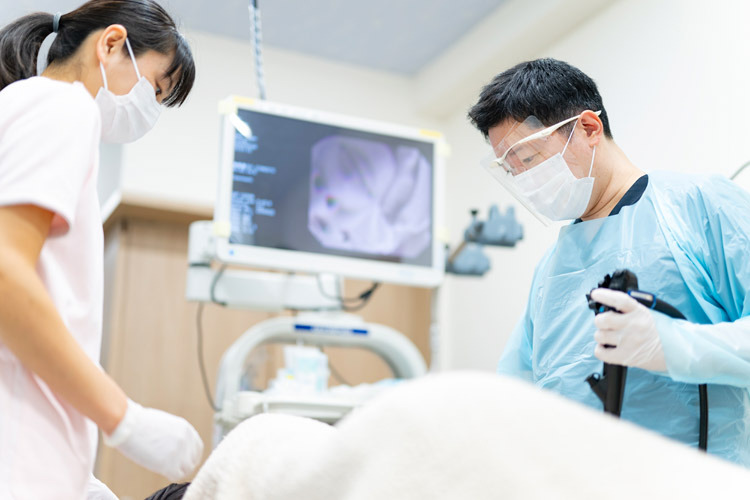 大腸カメラ（大腸内視鏡検査/下部消化管内視鏡検査）のイメージ画像